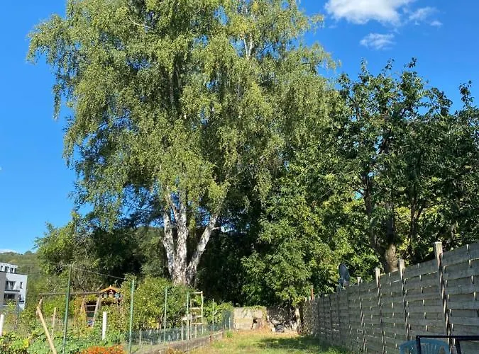 In Beggen House - In לוקסמבורג